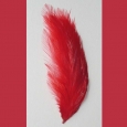 Beautiful vintage feathers - ideal for millinery - 05